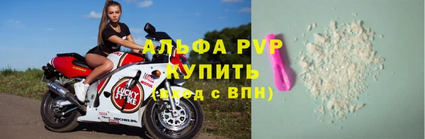 дмт Дмитровск