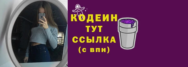 дмт Дмитровск
